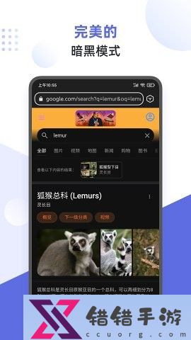 狐猴浏览器2024 V2.6.1.022 安卓最新版截图